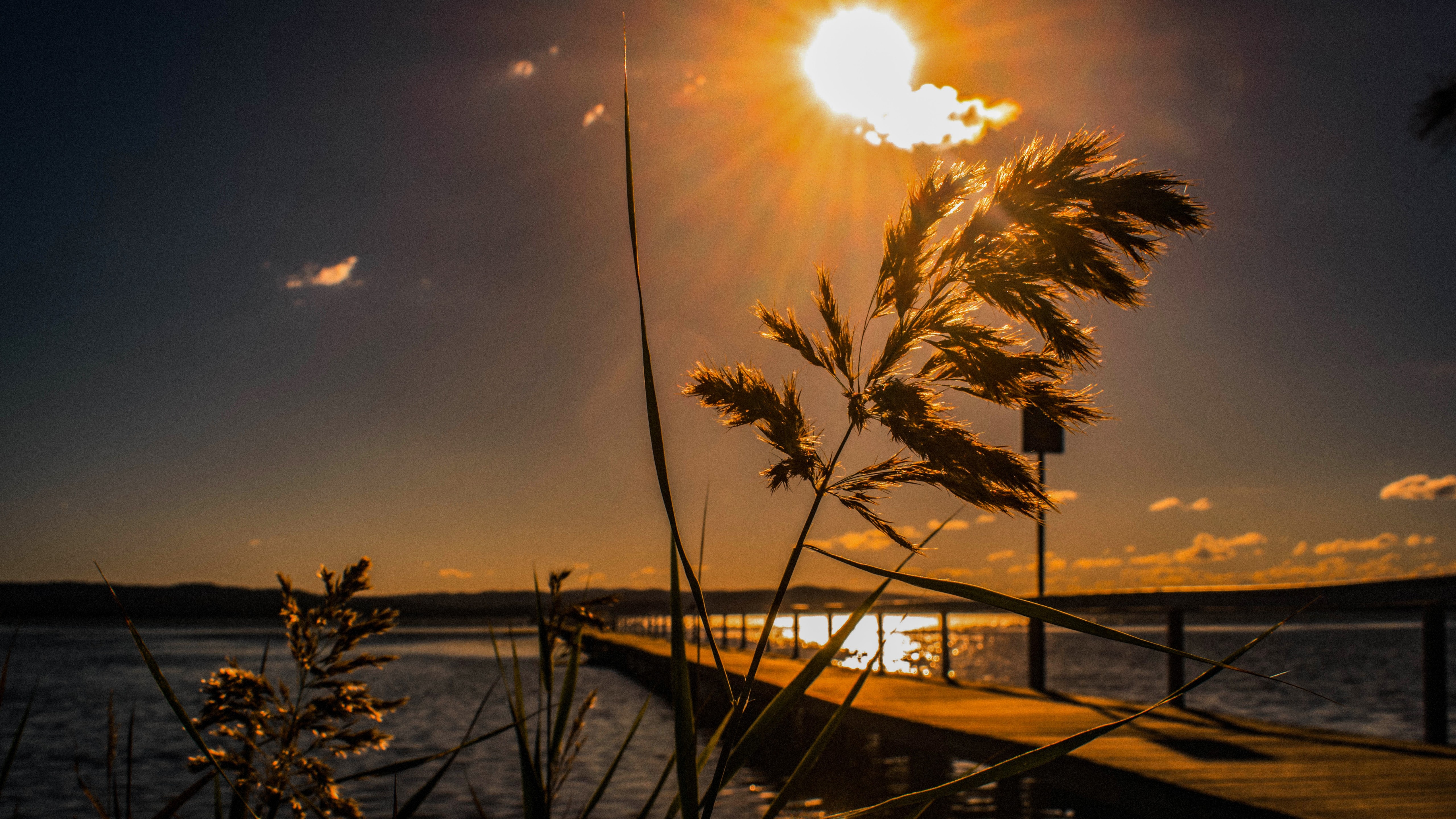 Wallpapers Mix №849 047